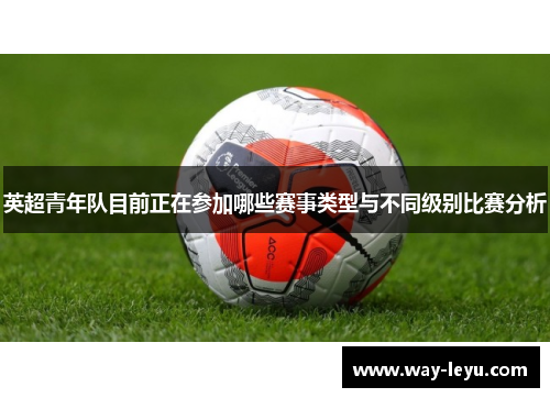 英超青年队目前正在参加哪些赛事类型与不同级别比赛分析