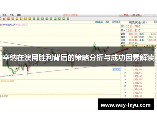 辛纳在澳网胜利背后的策略分析与成功因素解读 辛纳在澳网胜利背后的策略分析与成功因素解读
