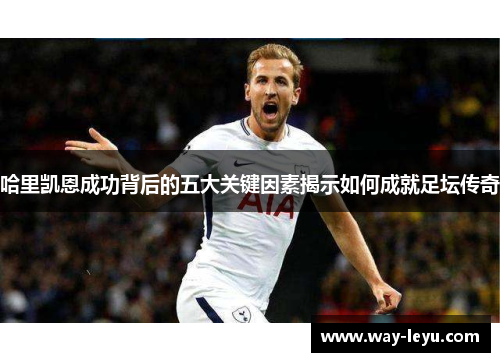 哈里凯恩成功背后的五大关键因素揭示如何成就足坛传奇 哈里凯恩成功背后的五大关键因素揭示如何成就足坛传奇