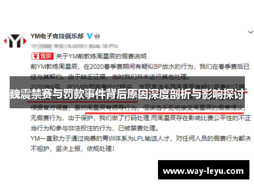 魏震禁赛与罚款事件背后原因深度剖析与影响探讨