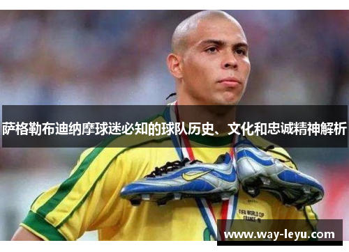 萨格勒布迪纳摩球迷必知的球队历史、文化和忠诚精神解析