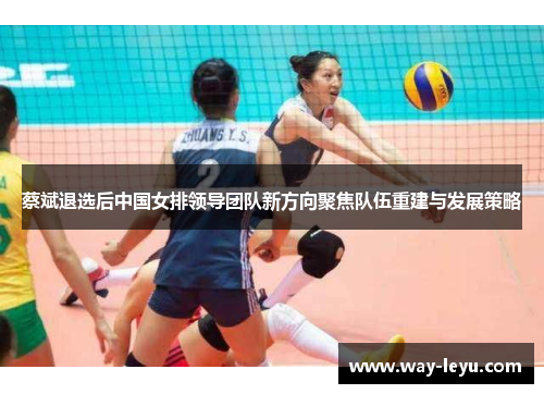 蔡斌退选后中国女排领导团队新方向聚焦队伍重建与发展策略