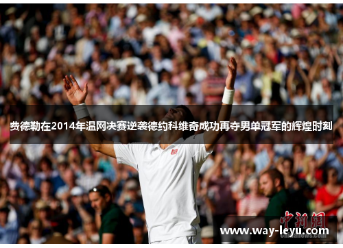 费德勒在2014年温网决赛逆袭德约科维奇成功再夺男单冠军的辉煌时刻