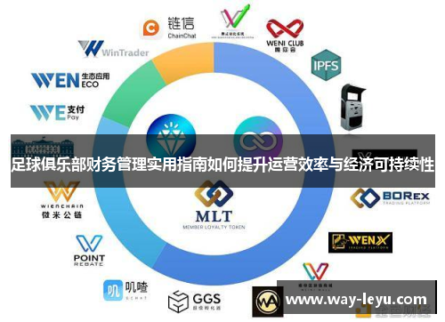 足球俱乐部财务管理实用指南如何提升运营效率与经济可持续性 足球俱乐部财务管理实用指南如何提升运营效率与经济可持续性