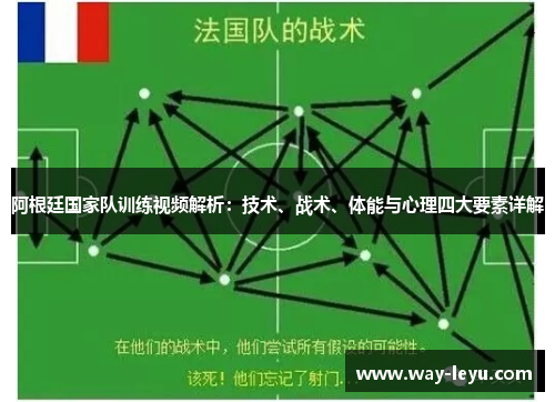 阿根廷国家队训练视频解析：技术、战术、体能与心理四大要素详解