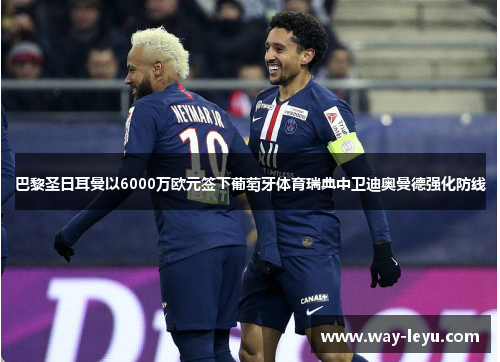 巴黎圣日耳曼以6000万欧元签下葡萄牙体育瑞典中卫迪奥曼德强化防线 巴黎圣日耳曼以6000万欧元签下葡萄牙体育瑞典中卫迪奥曼德强化防线
