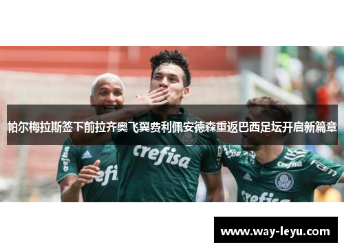 帕尔梅拉斯签下前拉齐奥飞翼费利佩安德森重返巴西足坛开启新篇章