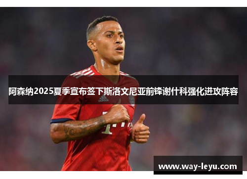 阿森纳2025夏季宣布签下斯洛文尼亚前锋谢什科强化进攻阵容 阿森纳2025夏季宣布签下斯洛文尼亚前锋谢什科强化进攻阵容
